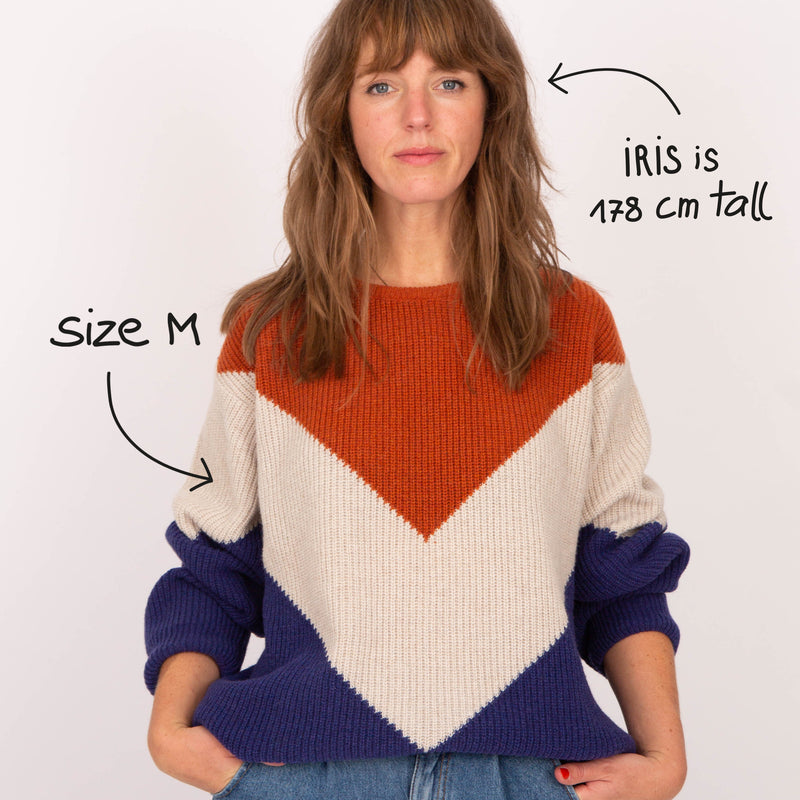 Grown-Ups Knit & Sew Sweater (recycled wool) - Manitober